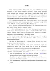 Programavimo kalbos apžvalga: Visual Basic for Aplication 3 puslapis