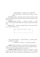 Programavimo kalbos apžvalga: Visual Basic for Aplication 8 puslapis