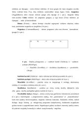 Programavimo kalbos apžvalga: Visual Basic for Aplication 9 puslapis