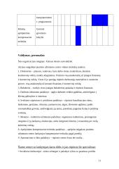 Projektas: neįgaliojo jaunimo centro kūrimas Alytuje 11 puslapis