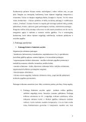 Projektas: neįgaliojo jaunimo centro kūrimas Alytuje 4 puslapis