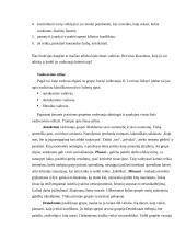 Projektų valdymas ir komandos formavimas 2 puslapis