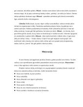 Projektų valdymas ir komandos formavimas 3 puslapis