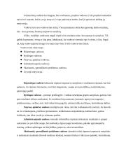 Projektų valdymas ir komandos formavimas 4 puslapis