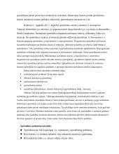 Projektų valdymas ir komandos formavimas 7 puslapis