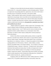 Projektų valdymas ir matricinės struktūros 3 puslapis