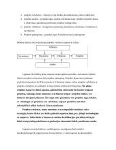 Projektų valdymas ir matricinės struktūros 5 puslapis
