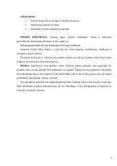 Projektų valdymas: Utenos kolegija 3 puslapis