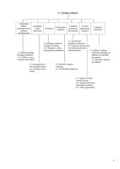 Projektų valdymas: Utenos kolegija 5 puslapis