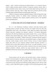 Prostitucija ir ekonominė padėtis moterų atžvilgiu 8 puslapis