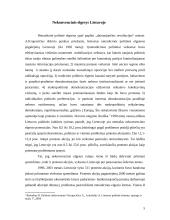 Protesto politika Lietuvoje 5 puslapis