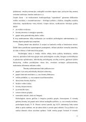 Psichologiniai vadovo veiksniai 13 puslapis