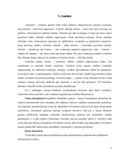 Pusiau prezidentinė šalies valdymo sistema 2 puslapis