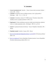 Pusiau prezidentinė šalies valdymo sistema 17 puslapis