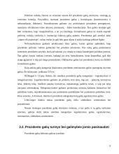 Pusiau prezidentinė šalies valdymo sistema 7 puslapis