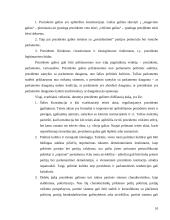 Pusiau prezidentinė šalies valdymo sistema 8 puslapis