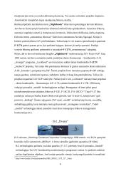 Radarams nematomi lėktuvai 5 puslapis