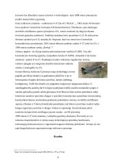 Radarams nematomi lėktuvai 7 puslapis