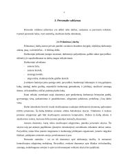 Organizaciniai tvarkomieji dokumentai 3 puslapis