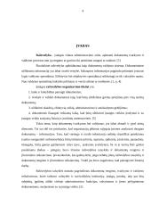 Raštvedybos sistemos analizė: AB "SEB Vilniaus bankas" 4 puslapis