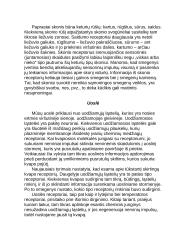 Rega ir klausa 2 puslapis