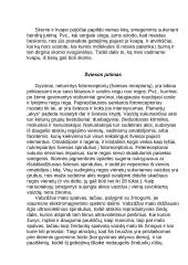 Rega ir klausa 3 puslapis