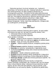 Rega ir klausa 4 puslapis