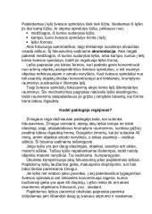 Rega ir klausa 5 puslapis