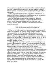 Rega ir klausa 6 puslapis