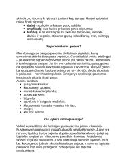 Rega ir klausa 8 puslapis