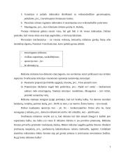 Reklama, jos kalba ir poveikis vartotojui 2 puslapis