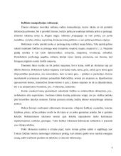 Reklama, jos kalba ir poveikis vartotojui 3 puslapis