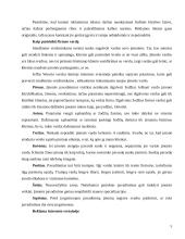 Reklama, jos kalba ir poveikis vartotojui 4 puslapis