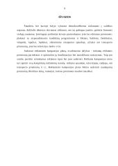 Reklaminės kompanijos planas: viešbutis "Conti" 9 puslapis