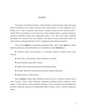 Reklamos analizė: bižuterijos firma "Ibero" 2 puslapis