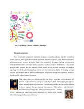 Reklamos analizė: bižuterijos firma "Ibero" 13 puslapis