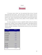 Reklamos analizė: bižuterijos firma "Ibero" 18 puslapis