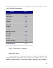 Reklamos analizė: bižuterijos firma "Ibero" 20 puslapis