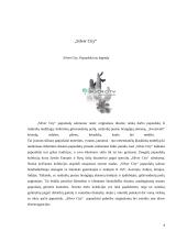 Reklamos analizė: bižuterijos firma "Ibero" 6 puslapis