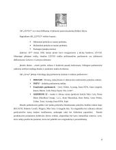 Reklamos analizė: bižuterijos firma "Ibero" 8 puslapis