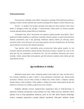 Reklamos analizė: bižuterijos firma "Ibero" 9 puslapis