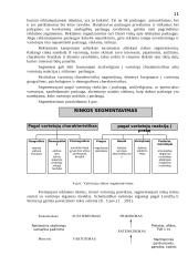 Reklamos ir reklaminės kampanijos sampratos reikšmė bei jų skirtumai: viešbutis "Auksinės kopos" 11 puslapis