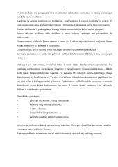 Reklamos kūrimas viešbučiui: Reval Hotels 3 puslapis