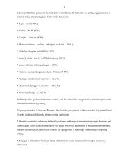 Reklamos kūrimas viešbučiui: Reval Hotels 8 puslapis