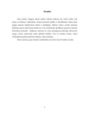 Reklamos vadybininko pareigybinės instrukcijos 8 puslapis