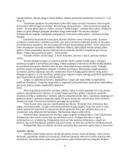 Rekonstruojamo – statomo statinio Prienuose aprašymas 11 puslapis