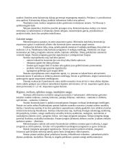 Rekonstruojamo – statomo statinio Prienuose aprašymas 5 puslapis