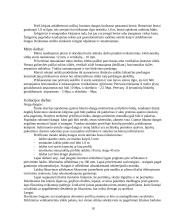 Rekonstruojamo – statomo statinio Prienuose aprašymas 10 puslapis