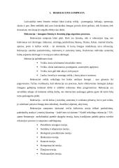 Rekreacijos ir laisvalaikio samprata bei raida 2 puslapis