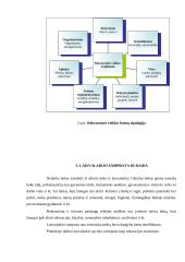 Rekreacijos ir laisvalaikio samprata bei raida 6 puslapis
